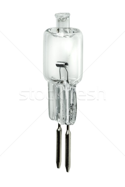 небольшой галоген лампы изолированный белый технологий Сток-фото © digitalr