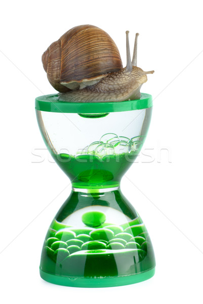 Schnecke Gel Sanduhr Zeit isoliert weiß Stock foto © digitalr