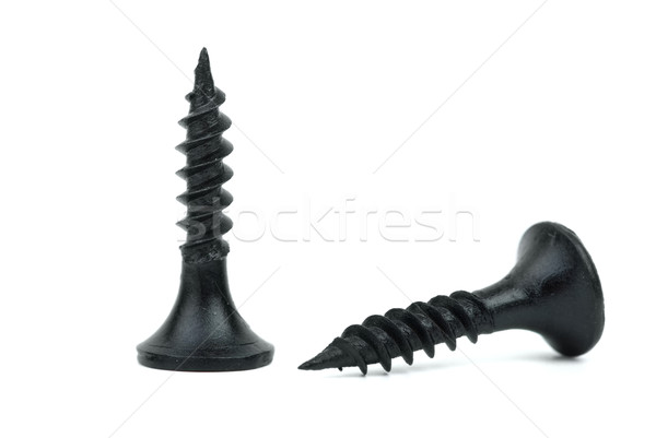 Two black metal screws Stock photo © digitalr