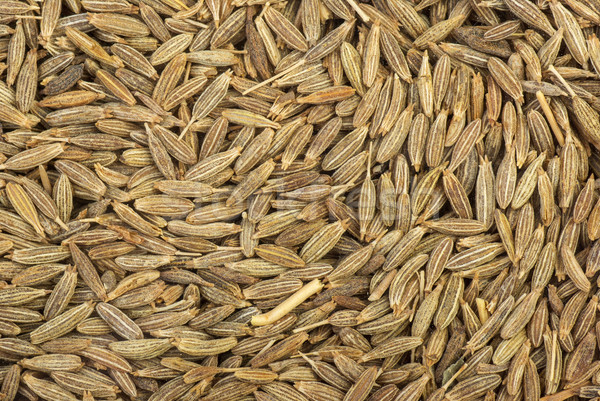 Zeera seeds close-up Stock photo © digitalr