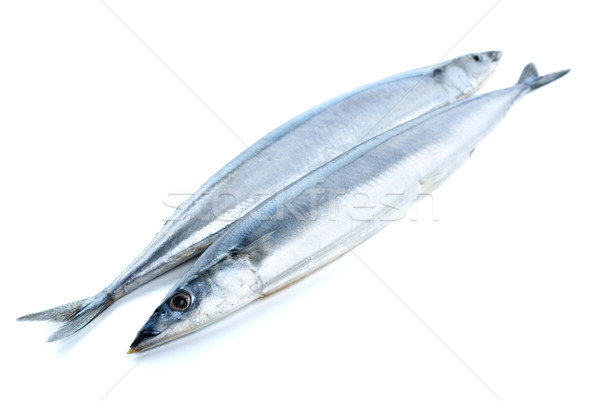 Two fresh pacific saury fishes Stock photo © digitalr