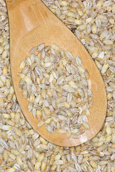 Wooden spoon with uncooked pearl barley Stock photo © digitalr