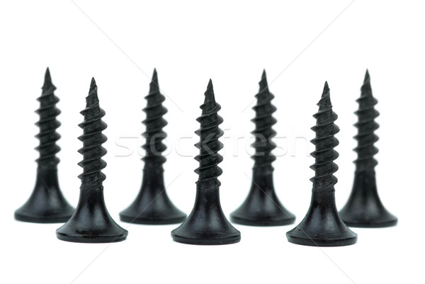Standing metal screws Stock photo © digitalr