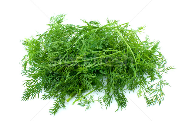 Frischen grünen isoliert weiß Gras Gemüse Stock foto © digitalr