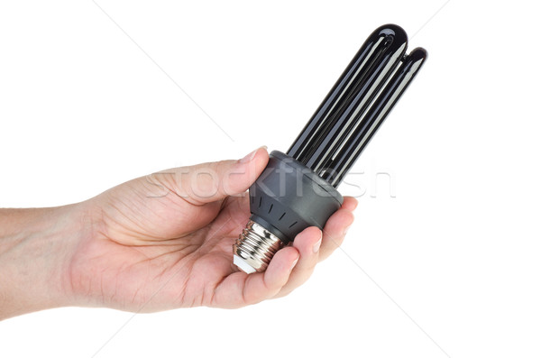 Black (UV) fluorescent lamp with e27 base in hand Stock photo © digitalr