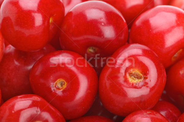 Red cherries without stalks Stock photo © digitalr