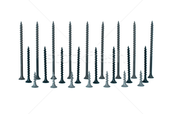 Stock photo: Some standing different screws