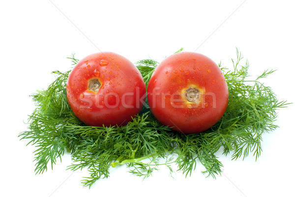 Paar Tomaten isoliert weiß Tomaten Gemüse Stock foto © digitalr