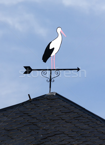 Stock photo: Wind stork 