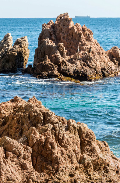 Detail of the Spanish coast (Costa Brava) Stock photo © digoarpi