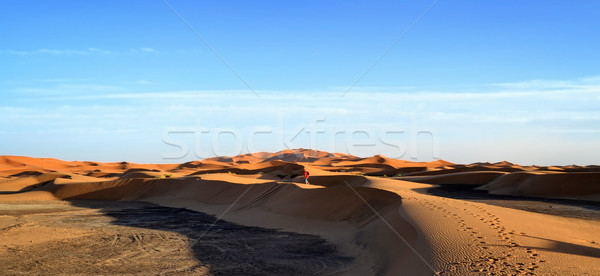 Beautiful sand dunes and blue sky Stock photo © digoarpi