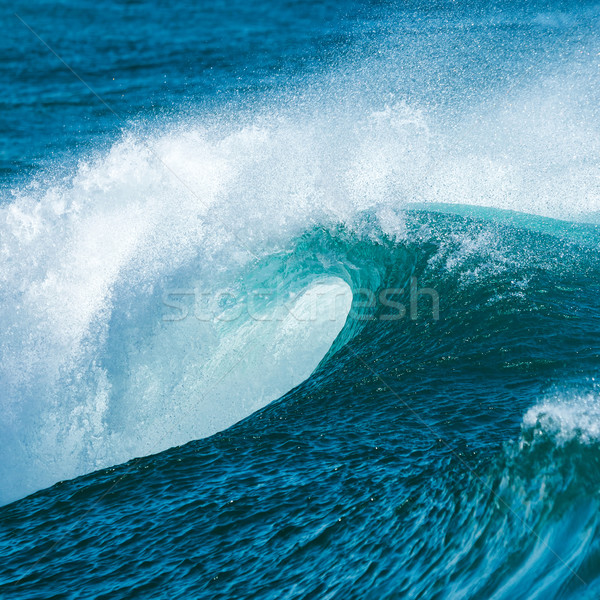 Wave Stock photo © digoarpi