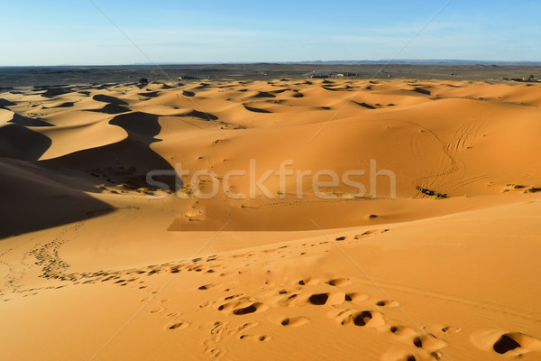 Desert Stock photo © digoarpi