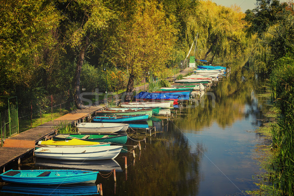 Still life near the lake Balaton of Hungary Stock photo © digoarpi