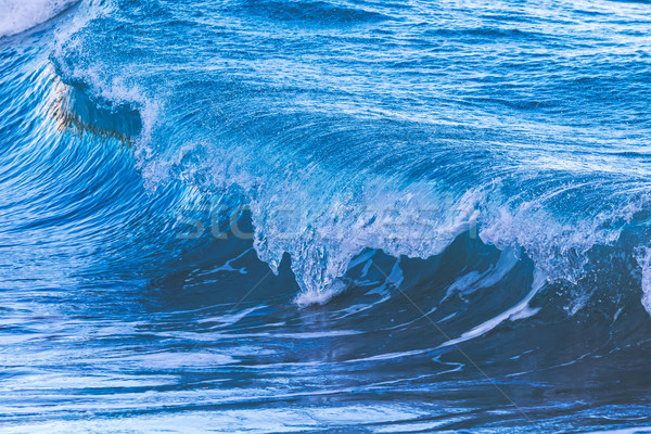 Grand vagues océan plage eau paysage Photo stock © digoarpi