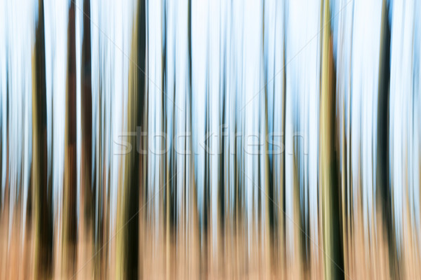 Pădure neclara abstract toamnă natură verde Imagine de stoc © digoarpi