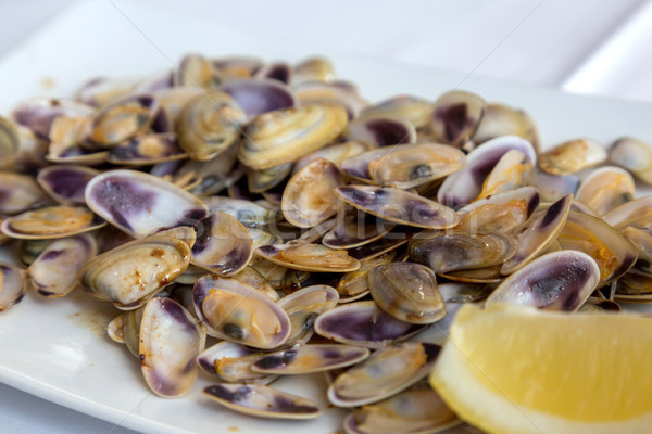Typical Spanish shellfood Stock photo © digoarpi