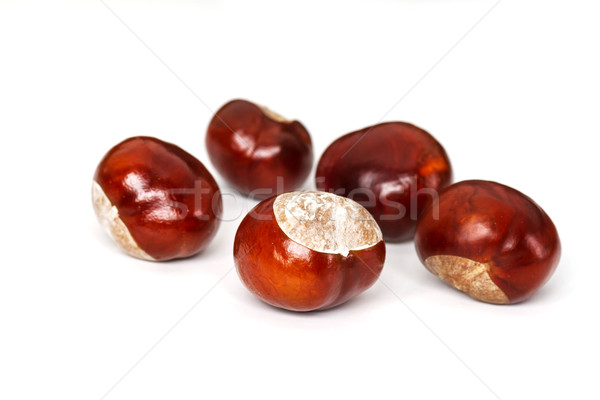 Stock foto: Obst · Herbst · Shell · weiß · Mutter · Objekte