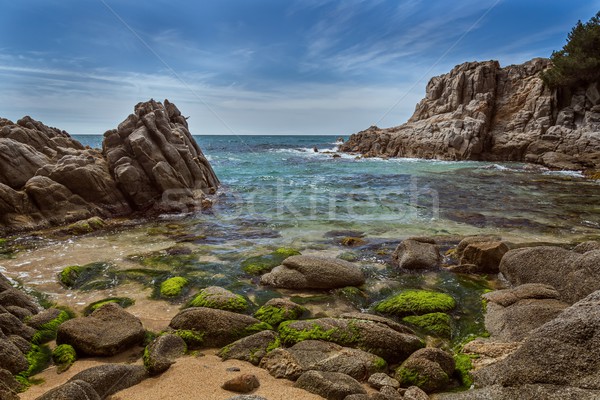 Detail of the Spanish coast at summer Stock photo © digoarpi