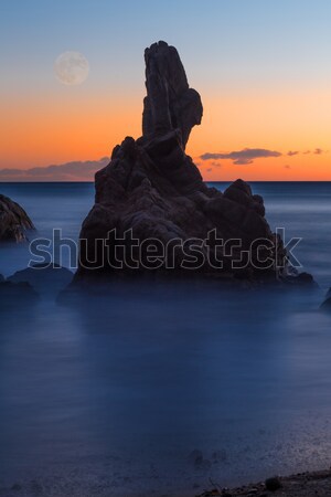 Nice detail of the Spanish coast in Costa Brava, Sant Antoni de Calonge Stock photo © digoarpi