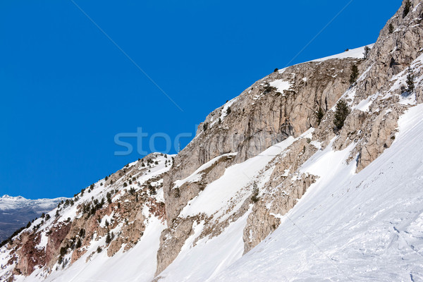 Snow Stock photo © digoarpi