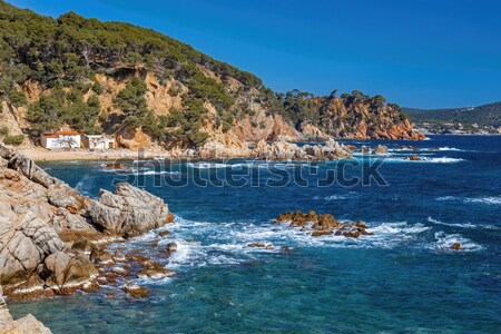 Részlet spanyol part fa tenger nyár Stock fotó © digoarpi