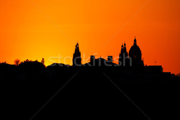 Silhouette from a National museum in Barcelona, Spain Stock photo © digoarpi