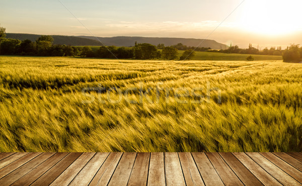 Stock foto: Getreide · Bereich · Tag · Himmel · Gras · Wald