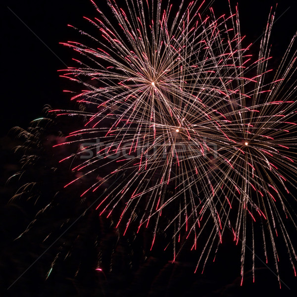 Fireworks light up the sky with dazzling display in Palamos, tow Stock photo © digoarpi