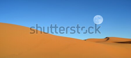 Beautiful sand dunes, moon and blue sky Stock photo © digoarpi
