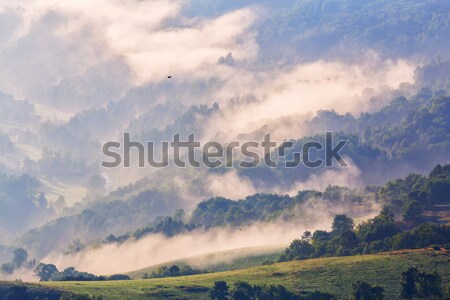 Majestic sunset in the mountains landscape. Stock photo © digoarpi