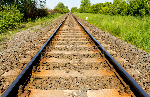 Spoorweg landelijke scène hemel natuur trein staal Stockfoto © digoarpi