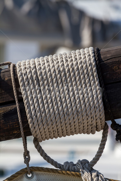 Detail of a ship's rigging Stock photo © digoarpi