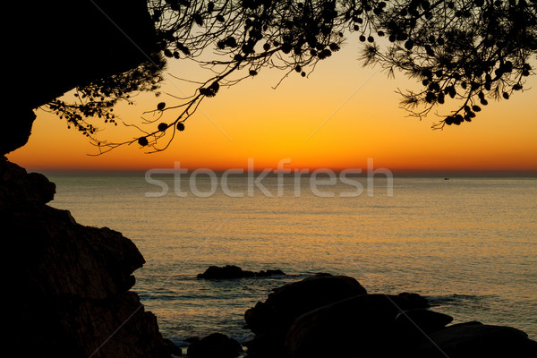 Amanecer árboles hermosa playa cielo puesta de sol Foto stock © digoarpi