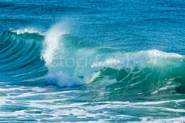 Beautiful Blue Ocean Wave Stock photo © digoarpi