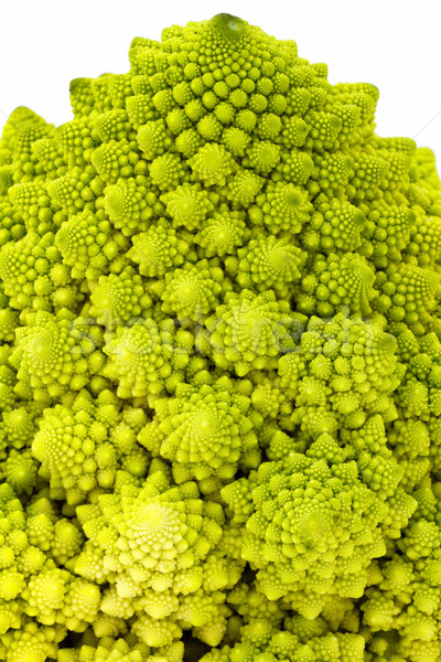 Broccoli Stock photo © digoarpi