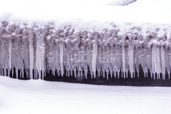Cold winter day with many icicle Stock photo © digoarpi