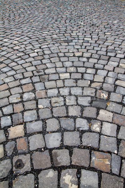 Cobblestone street Stock photo © digoarpi
