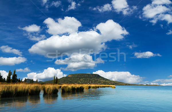 景觀 美麗 湖 巴拉頓湖 匈牙利 天空 商業照片 © digoarpi