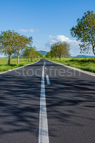 ストックフォト: ストレート · アスファルト · 道路 · 距離 · 森林