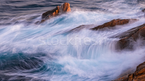 Nice detail of the Spanish coast in Costa Brava, Sant Antoni de  Stock photo © digoarpi