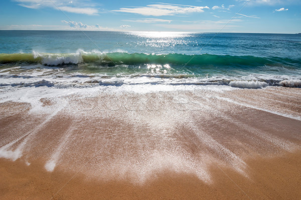 Onda bella blu oceano onda mare estate Foto d'archivio © digoarpi