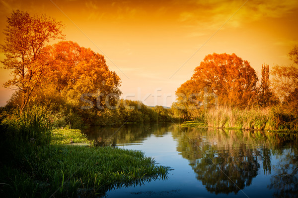 Sunset still life Stock photo © digoarpi