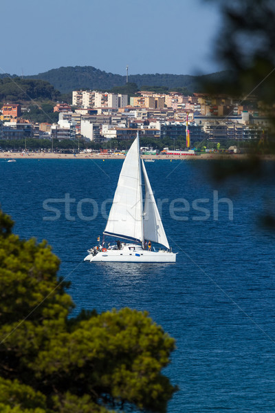 帆船 西班牙人 濱 水 運動 景觀 商業照片 © digoarpi