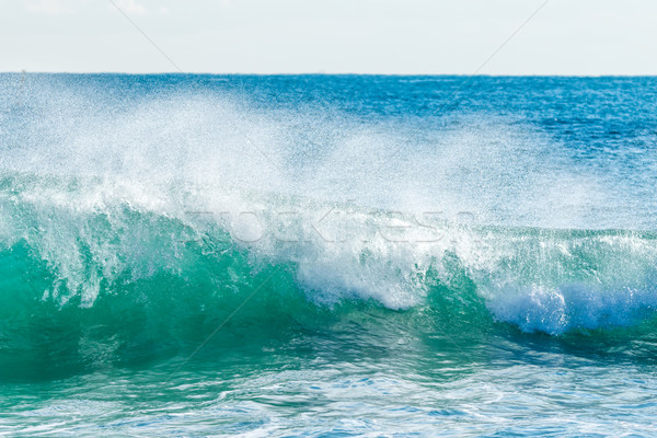 Bella blu oceano onda spiaggia natura panorama Foto d'archivio © digoarpi
