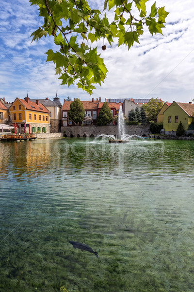 Small town Tapolca (Hungary) Stock photo © digoarpi