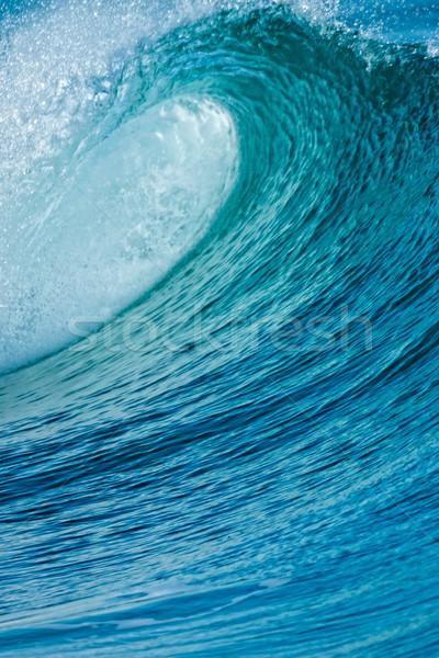 Wave Stock photo © digoarpi