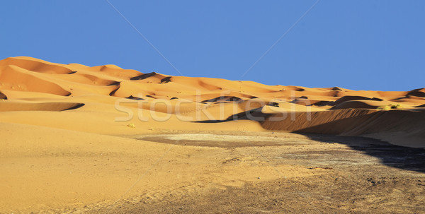 Dunes Stock photo © digoarpi