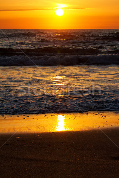 Amanecer hermosa playa luz resumen paisaje Foto stock © digoarpi