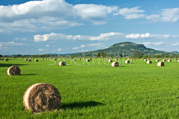 Landscape Stock photo © digoarpi